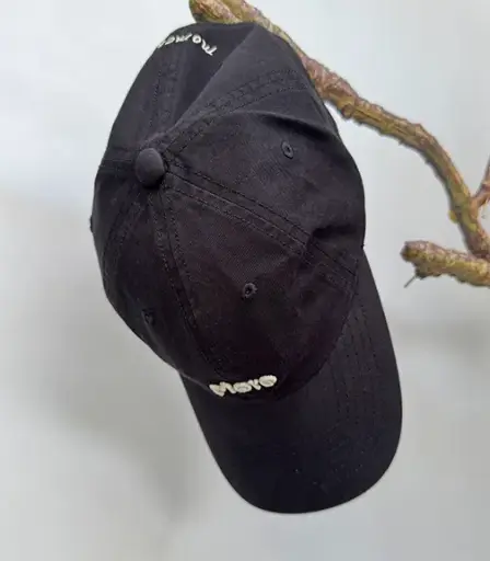 91775 CAP
